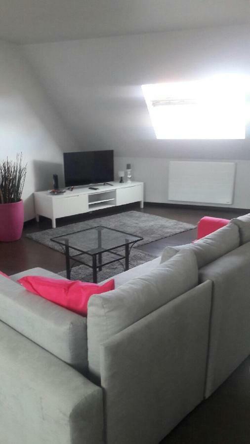 Appartement Avec Garage Colmar Centre Historique Esterno foto