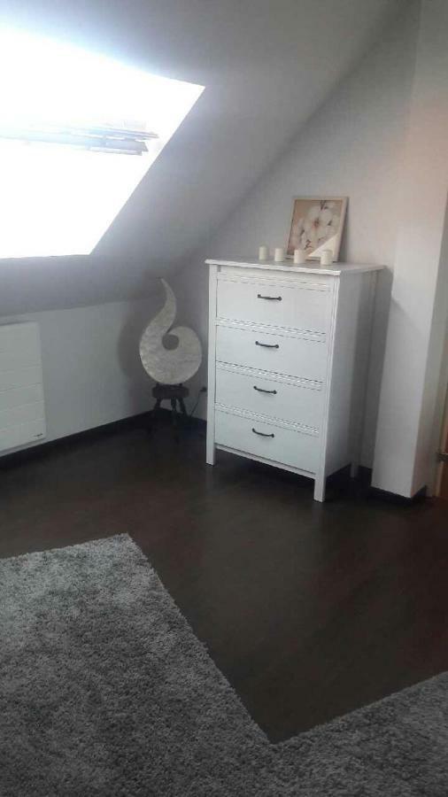 Appartement Avec Garage Colmar Centre Historique Esterno foto