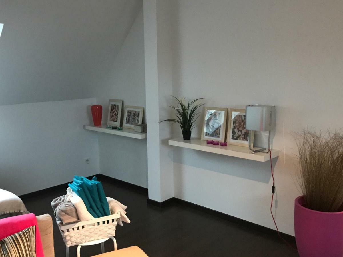 Appartement Avec Garage Colmar Centre Historique Esterno foto